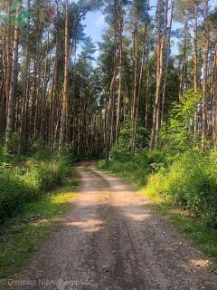 Działka budowlana 1244m Rusinowo media I kompleks