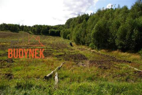 Działka rolna - Lejkowo