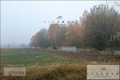 Działka budowlana na sprzedaż, 29600 m2, Siucice-Kolonia