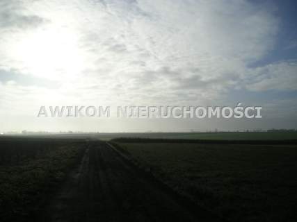 20 km od Skierniewic dla lubiiących przestrzeń