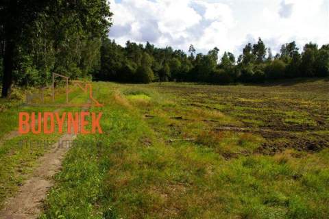 Działka rolna - Lejkowo