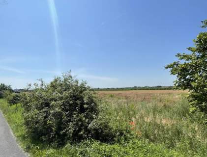 Działka, Sulisławice Kalisz sprzedaż 1633m2