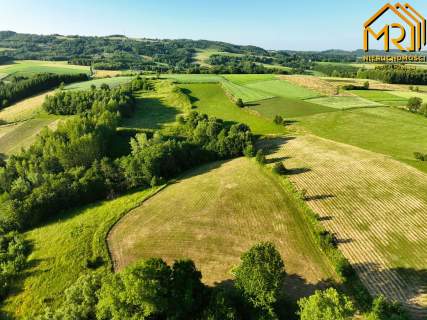 Działka 4.79 ha z możliwością uzyskania WZ