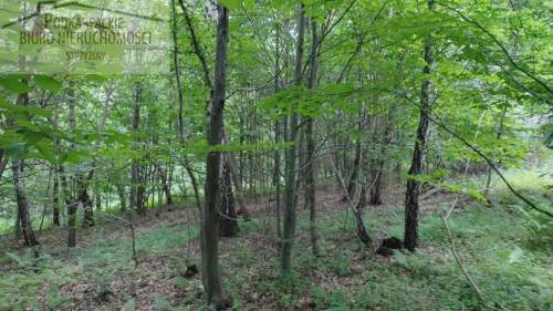 Działka rolna na sprzedaż, 10300 m2, Żarnowa