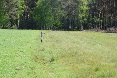 Działka 1,63ha - 10 działek cicha okolica