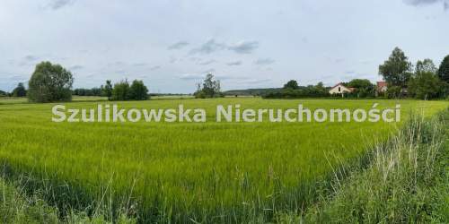 Działka budowlana na sprzedaż, 3800 m2, Ziębice