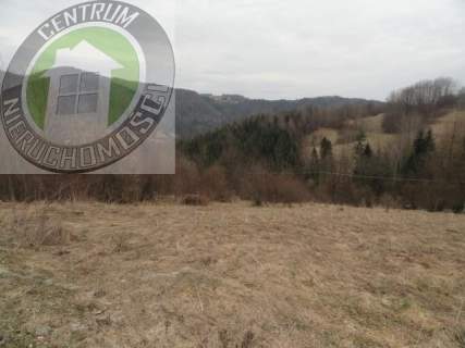 Działka budowlana na sprzedaż, 10000 m2, Ochotnica Dolna