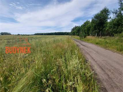 Działka budowlana - Boryszewo