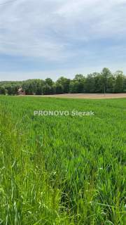 Działka budowlana w Borkowicach, blisko Obornik Ś