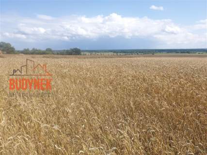 Działka rolna - Kopnica
