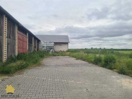 Magazyn do wynajęcia, 600 m2, Rossosz