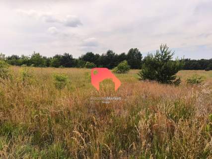 DZIAŁKA 1551m2 ZAMOŚĆ W PIĘKNEJ OKOLICY