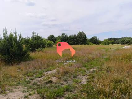 DZIAŁKA 1536m2 ZAMOŚĆ W PIĘKNEJ OKOLICY