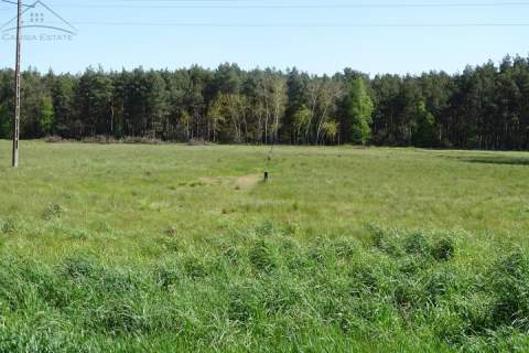 Działka 1,63ha - 10 działek cicha okolica