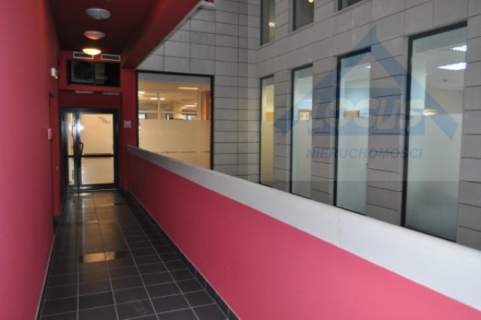 Biuro 248 m2 wynajem, Śródmieście