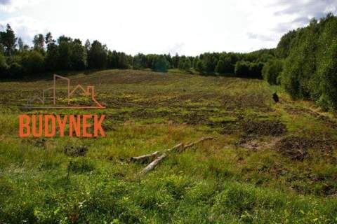Działka rolna - Lejkowo