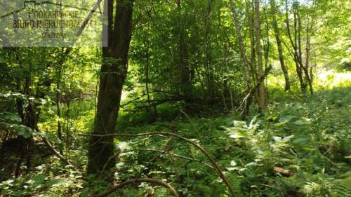 Działka rolna na sprzedaż, 10300 m2, Żarnowa