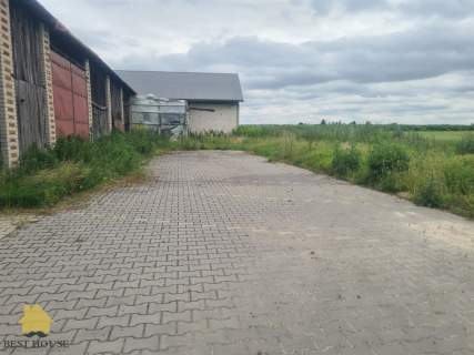 Magazyn do wynajęcia, 600 m2, Rossosz