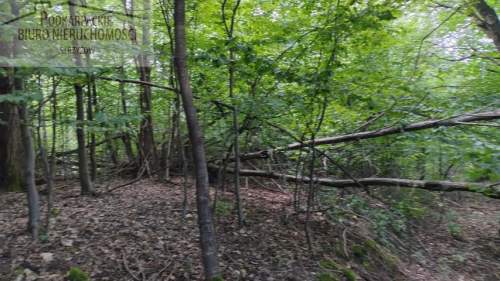 Działka leśna na sprzedaż, 2600 m2, Żyznów