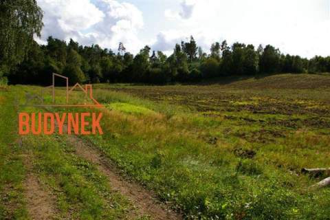 Działka rolna - Lejkowo