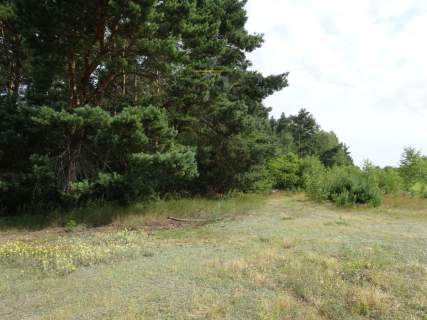 Dziełka na sprzedaż Łódź Widzew