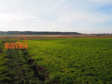 Działka rolna - Krupy