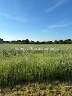 Działka Mnich