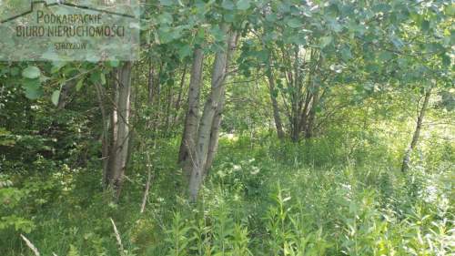 Działka rolna na sprzedaż, 10300 m2, Żarnowa