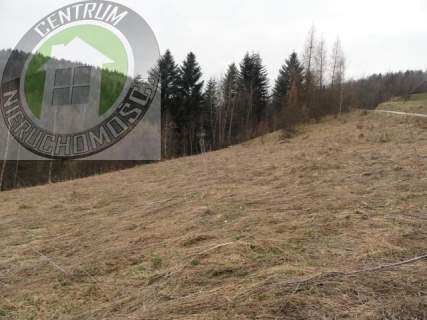 Działka budowlana na sprzedaż, 10000 m2, Ochotnica Dolna