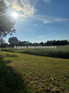 Działka Mnich