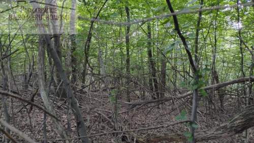 Działka leśna na sprzedaż, 2600 m2, Żyznów