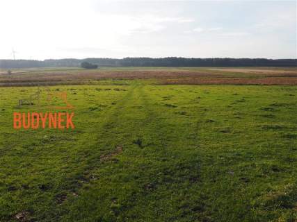 Działka rolna - Krupy