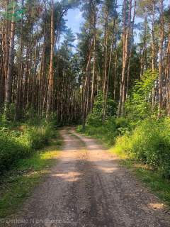 Uzbrojona działka 1171m2 budowlana pod lasem Rusin