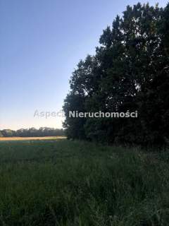 Cicha działa w Ochabach/Skoczów