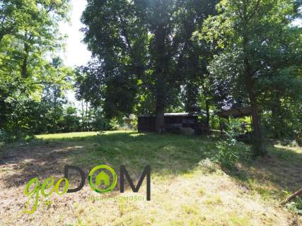 Działka siedliskowa 1584 m2 37x43 Ochoża-Pniaki
