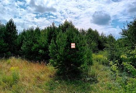 Kniażyce, działka budowlana WZ-tka 