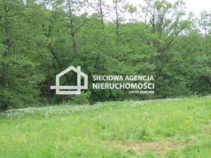 Na sprzedaż duża działka 5600m2, Marszewska Góra