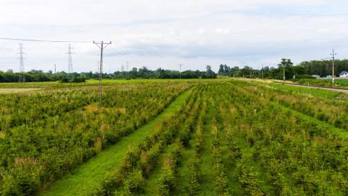 Działka inwestycyjna - wysoki i szybki zysk