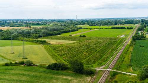 Działka inwestycyjna - wysoki i szybki zysk