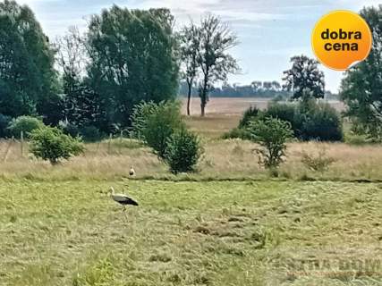 Działka na sprzedaż, 1248 m2, Jenikowo
