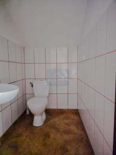 Lokal do wynajęcia w samym centrum Częstochowy
