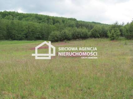 Na sprzedaż duża działka 5600m2, Marszewska Góra