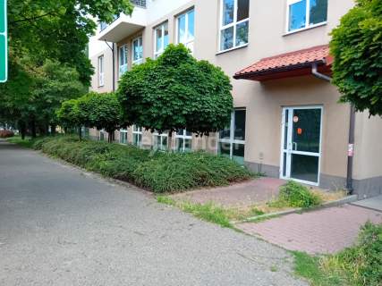 2 miejsca w hali garażowej- lokal na Parterze