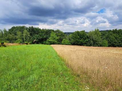 Niebyła Świńczów, dz. 7 a. Do Krakowa około 12km