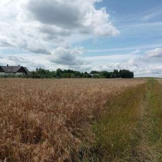 Działka na sprzedaż w Skrzeszewie Żukowskim