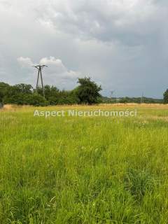 Działka w Pogwizdowie