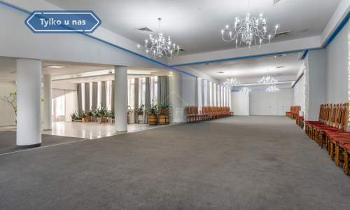 Sala weselna na sprzedaż Brzeziny Kolonia