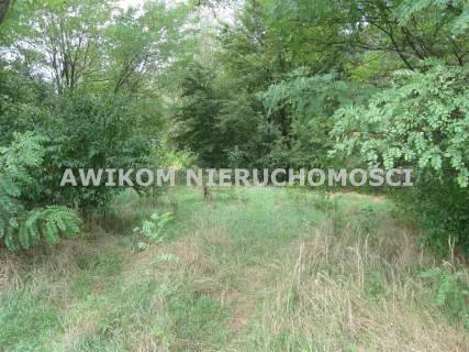 Działka rolna na sprzedaż, 221500 m2, Esterka