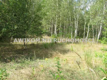 Działka rolna na sprzedaż, 221500 m2, Esterka