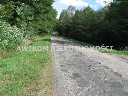 Działka rolna na sprzedaż, 221500 m2, Esterka